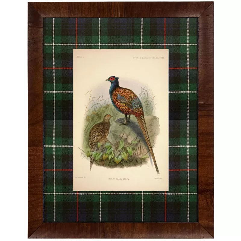 vintage-pheasant-painting Vintage Pheasant Painting