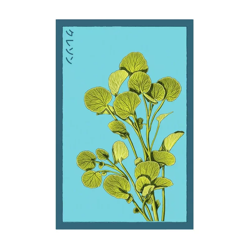 Watercress – Seeds